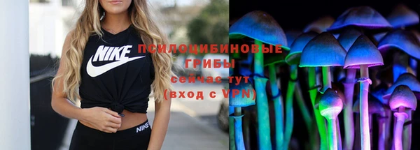 mix Алексин