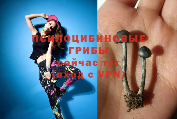 mix Алексин