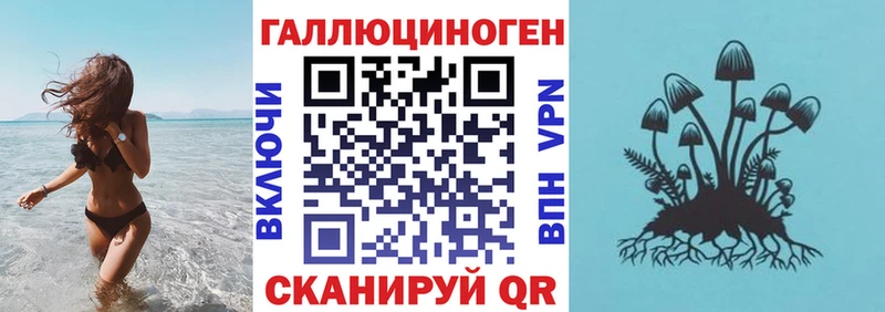 как найти наркотики  Клин  Галлюциногенные грибы Psilocybine cubensis 